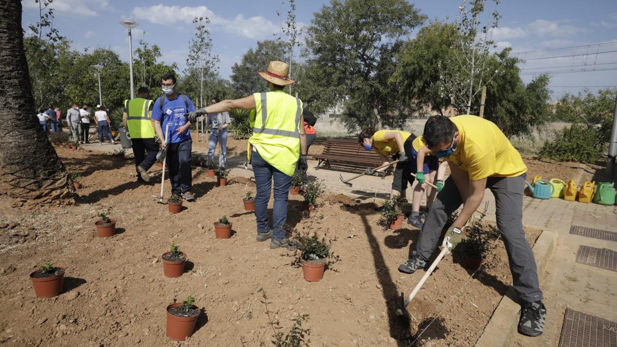 Celebran el Día de Europa sembrando más de 200 plantas arbustivas en Palma