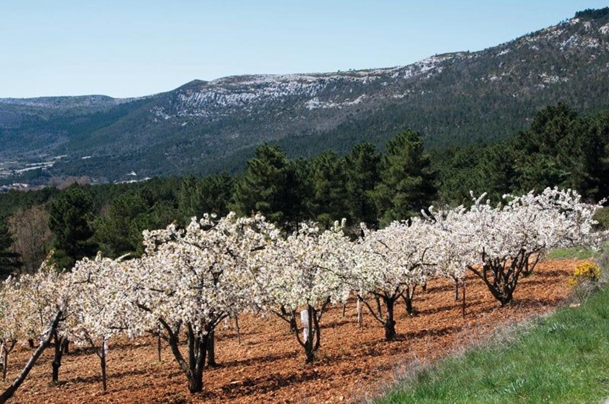 Valle de las Caderechas (Burgos)