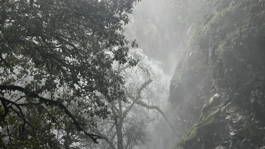 El temporal deja árboles caídos, desprendimientos y anegamientos