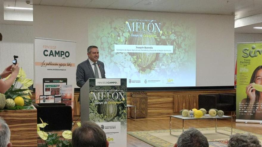 El melón de la Región de Murcia llega a 36 países y supera los 155 millones de euros en exportaciones