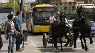 Badalona saca 'pectus' de su pasado romano