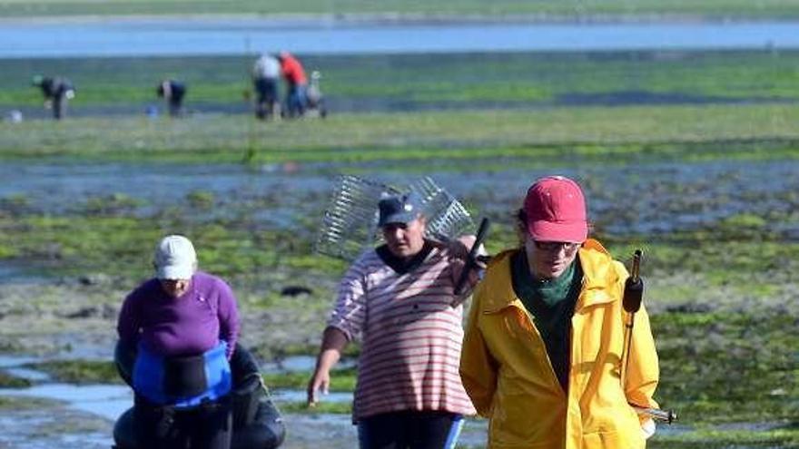 Mariscadores en la ría de Pontevedra. // Rafa Vázquez