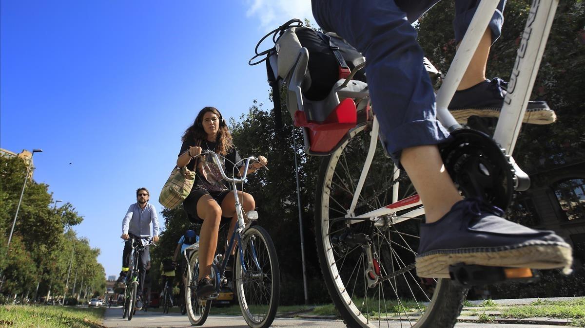 Ciclistas en el carril-bici del paseo de Sant Joan, en Barcelona, este miércoles.