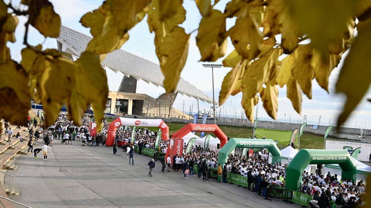 Barcelona corre contra el cáncer en el Fòrum.