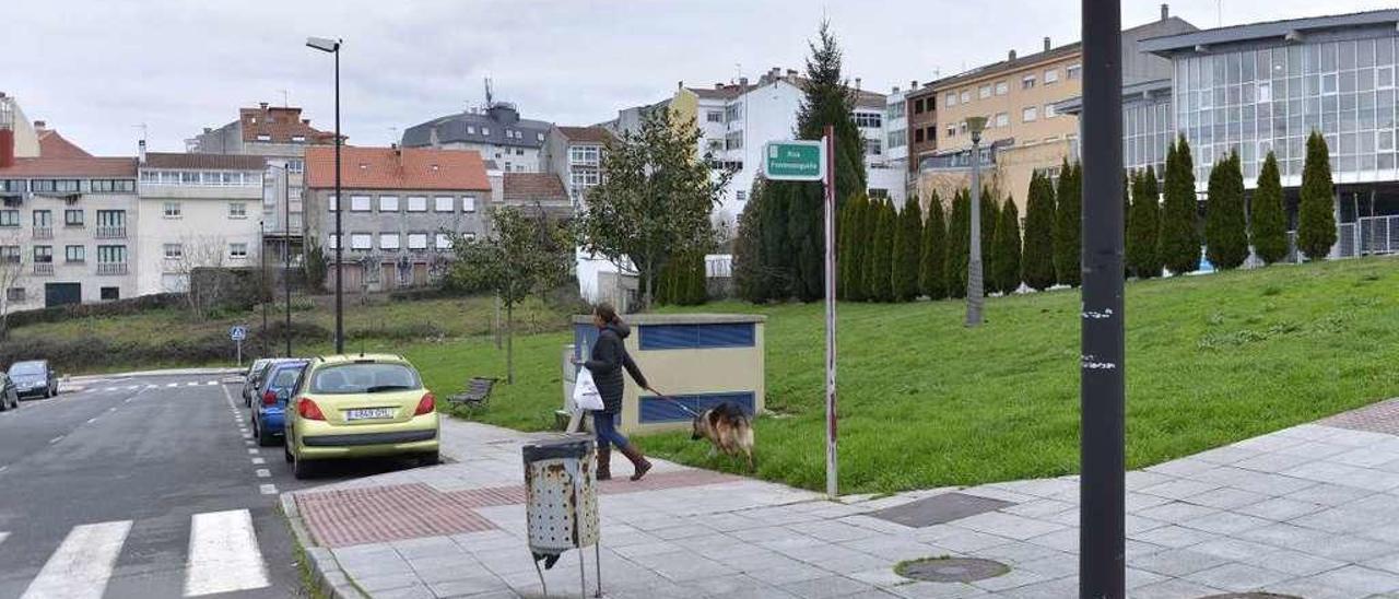 Parcela contigua a la estación en la que se habilitará el parque canino. // Bernabé/Javier Lalín