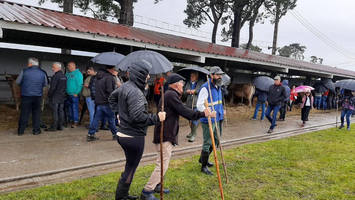 El ferial de Llanera, a tope de animales y maquinaria: así ha sido la tarde de San Isidro, en imágenes