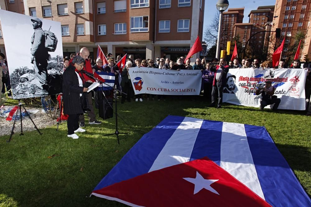 Acto homenaje de los asturianos a Fidel Castro