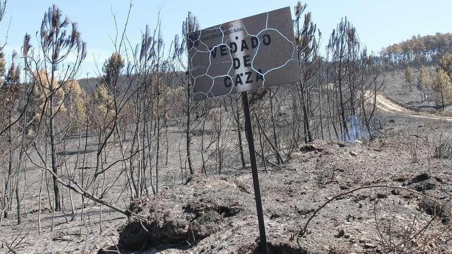 En esta zona de A Regada, ayer aún salían pequeñas columnas de humo del subsuelo. // Iñaki Osorio