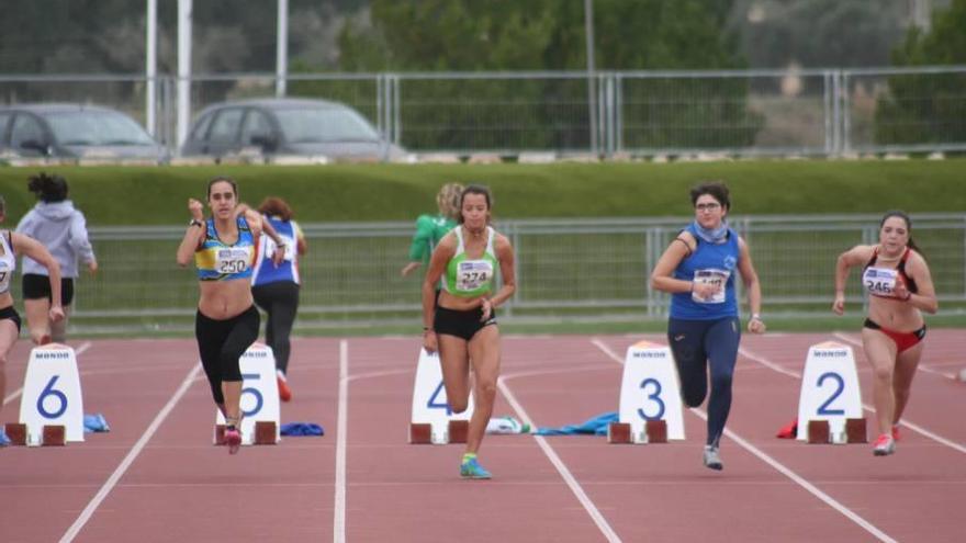 Una competición celebrada en la pista de atletismo de Magaluf (Calvià).