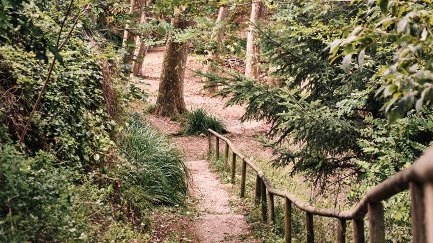 La Ruta de la Bugada és una caminada gratuïta i de caire popular que uneix, de manera circular, el municipi de Bàscara i el de Vilademuls