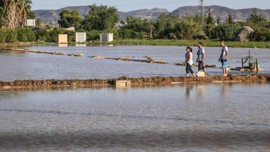 Tres jóvenes cruzan, el pasado domingo, unos campos de cultivo anegados por la fuga de agua del trasvase.