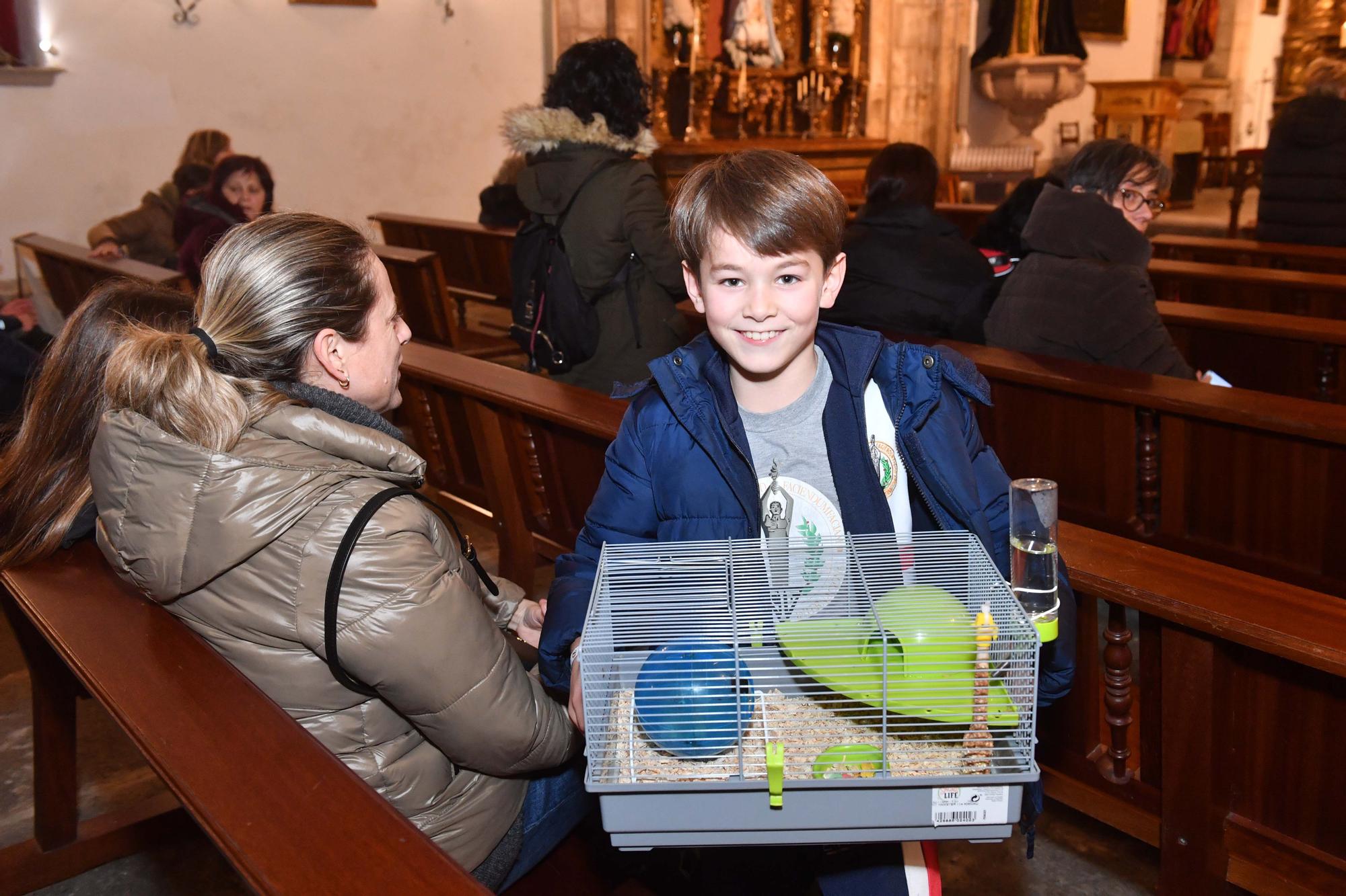 Bendición de mascotas por San Antón en A Coruña