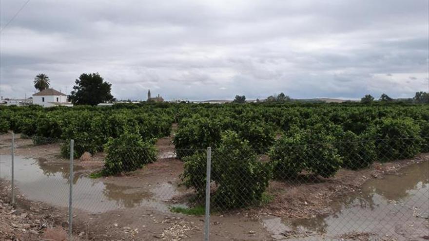 Los agricultores alertan de que el campo cordobés no podrá producir si no llueve