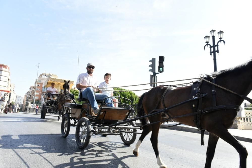 Ruta en carro al corazón de la Huerta