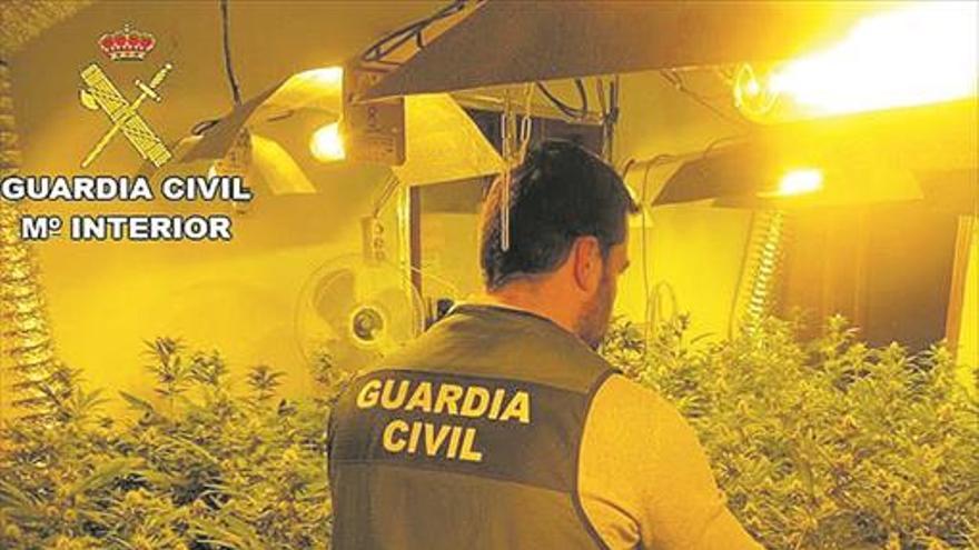 Un pueblo en vilo por el gasto de luz de un cultivo de marihuana