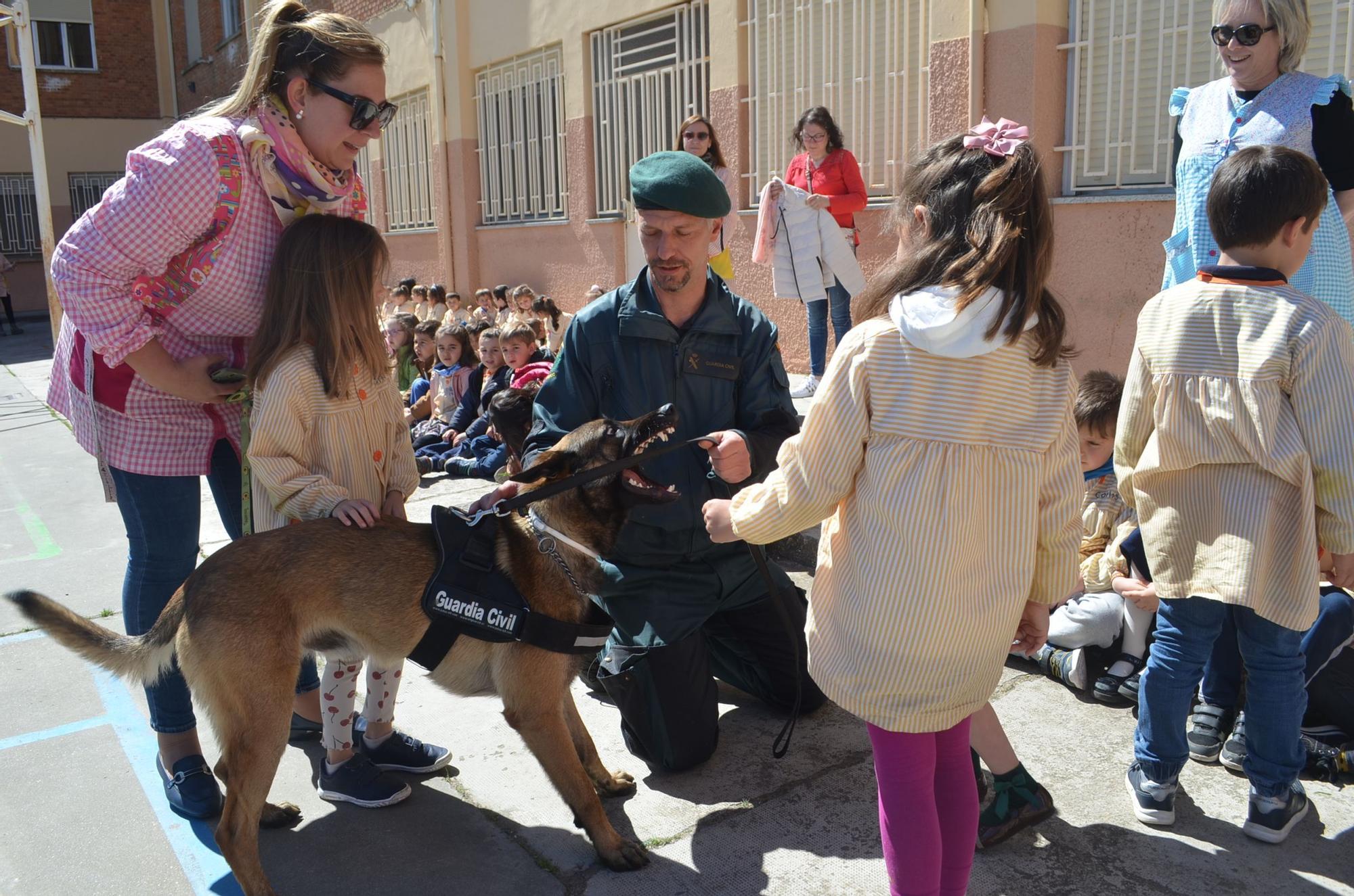 GALERÍA | Exhibición de medios de la Guardia Civil de Zamora ante más de medio millar de estudiantes