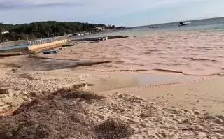 El Ayuntamiento de Ibiza paraliza una obra por un vertido en la playa de Talamanca