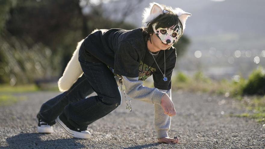 Agredit un ‘therian’ cocodril mentre reptava per un pas de zebra