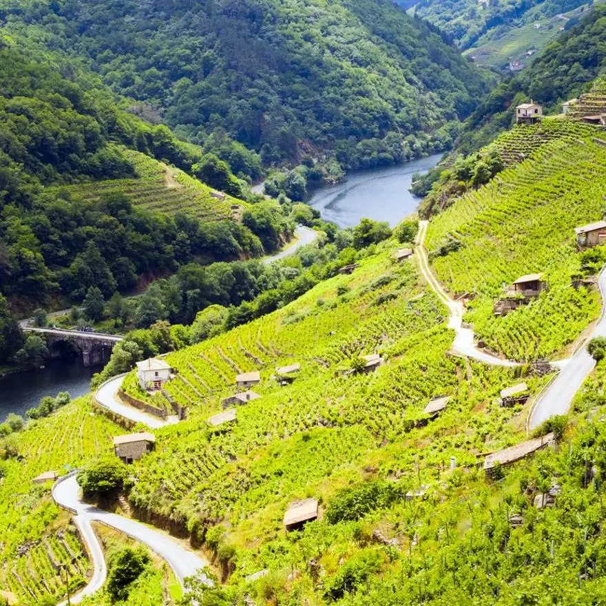 La ruta panorámica imprescindible del río Sil