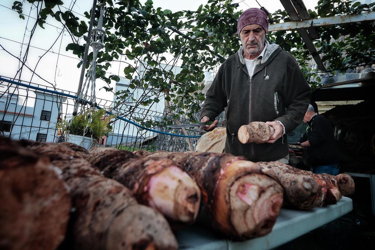 Guisado de ñames en Garachico