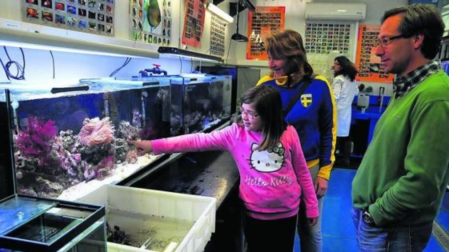 El vicedirector del Igafa, Miguel Lastres, muestra a las dos visitantes la sala de acuariología, con diversas especies de exhibición.  // Iñaki Abella