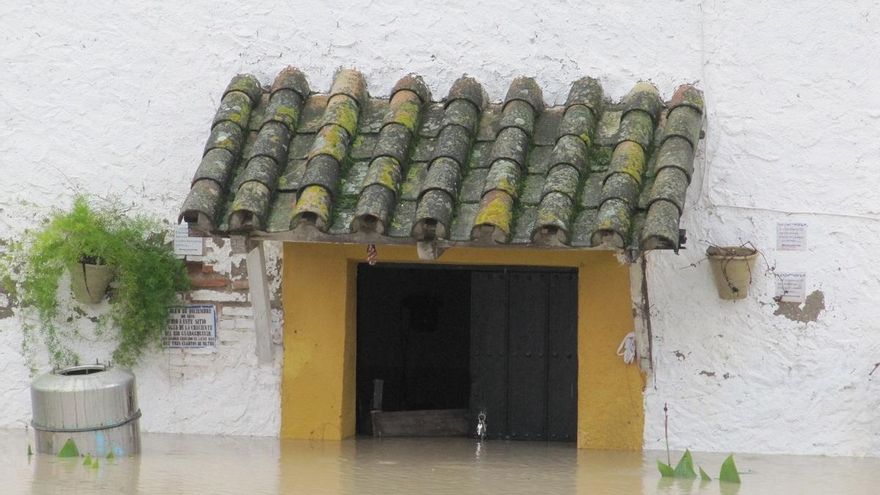 La Confederación del Guadalquivir prevé limpiar en enero el arroyo de Calonge en Palma del Río