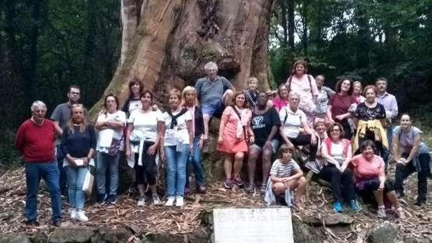 Participantes en la caminata posan ante el &quot;eucaliptón&quot;.