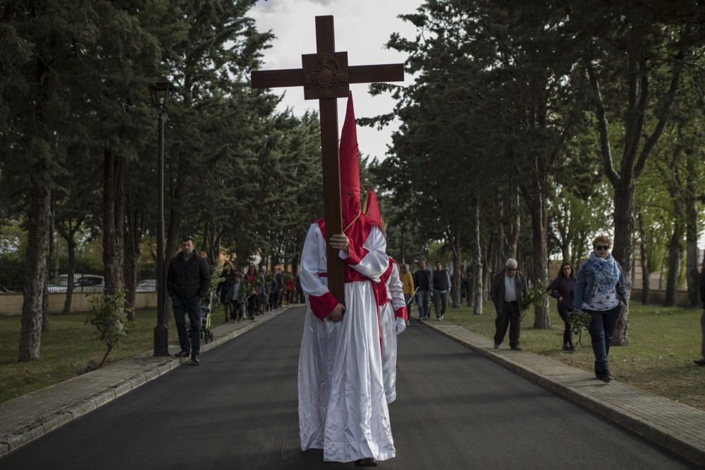 Semana Santa en la provincia 2019 | Domingo de Ram