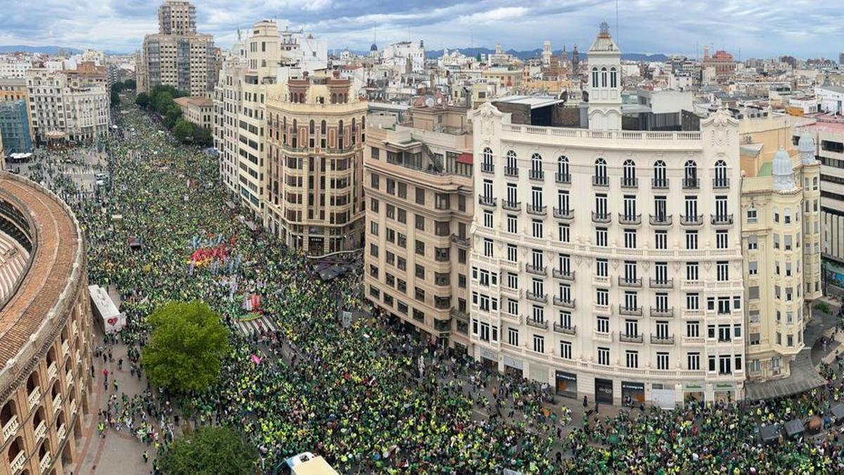 La manifestación educativa tiñe de verde el centro de València