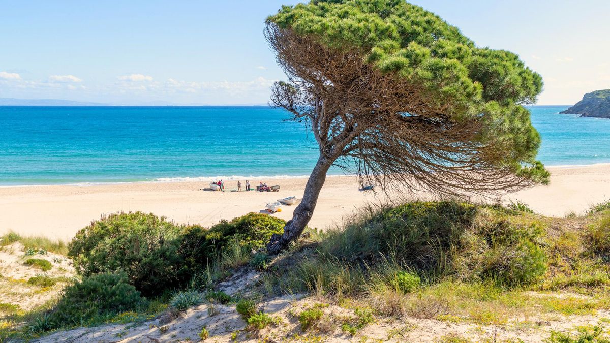 La espectacular playa de Cádiz con unas ruinas romanas frente a sus orillas: está considerada una de las más bonitas de España