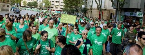 Palma im Zeichen der "grünen Flut"