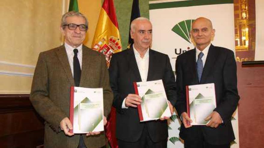 Braulio Medel, Luciano Alonso y Francisco García Navas, ayer en la presentación del informe.