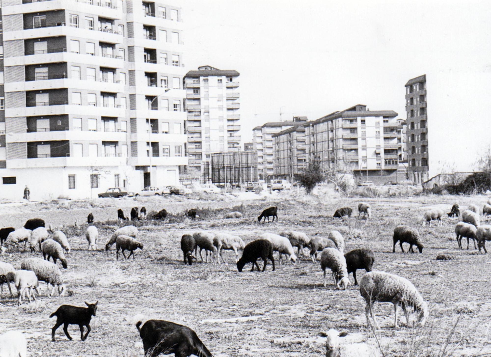 Fotos de la València desaparecida: El Campanar de los 80