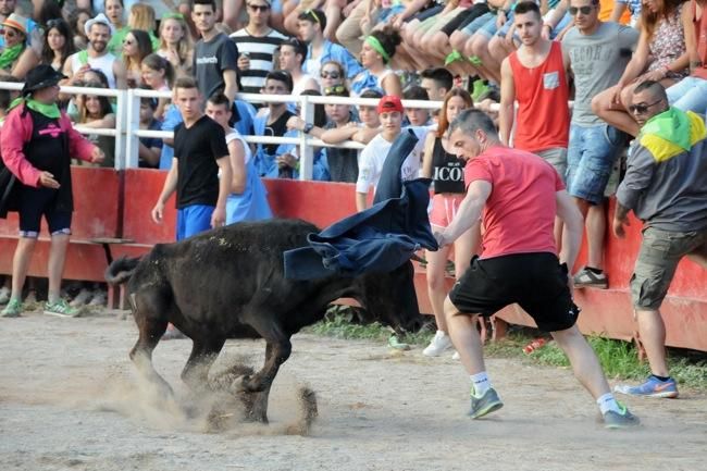 Les vaquetes de la festa major de Santpedor