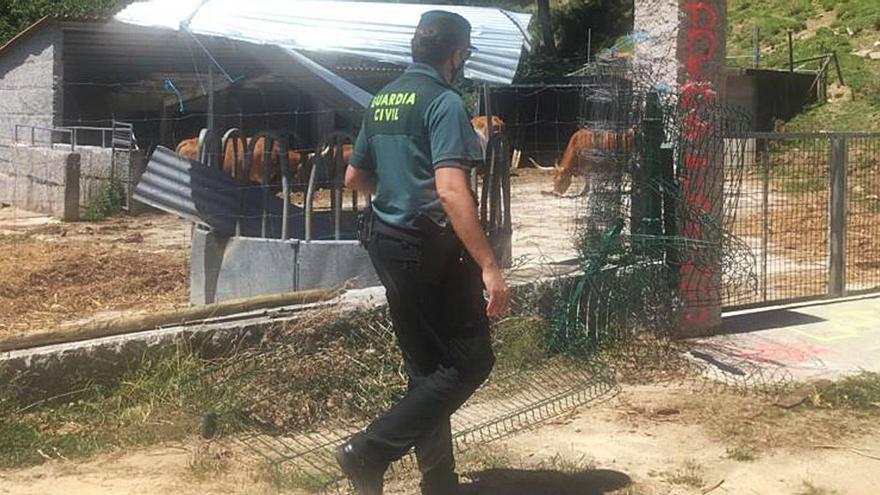 Atentado en casa de las vacas cachenas