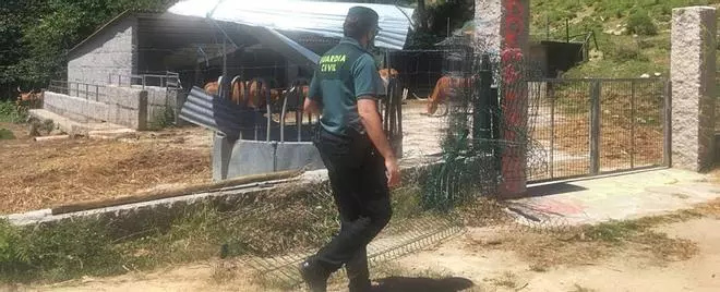 Atentado en casa de las vacas cachenas