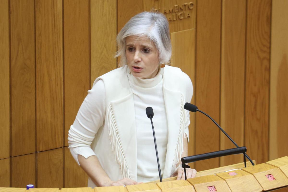 A deputada socialista Patricia Iglesias reclamará a ambulancia no Parlamento.