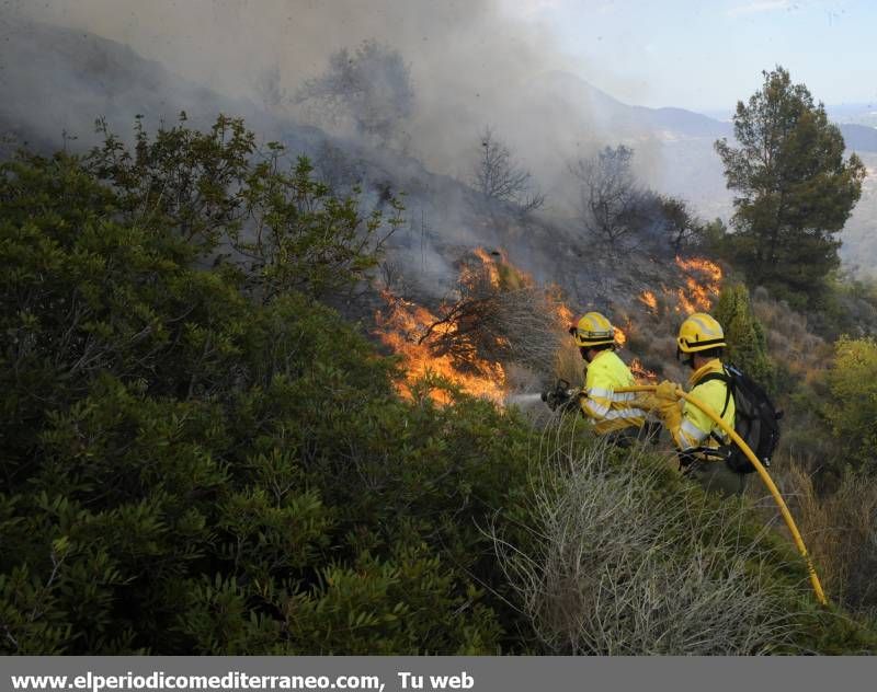 GALERIA DE IMÁGENES  - INCENDIO FORESTAL EN LA VALL