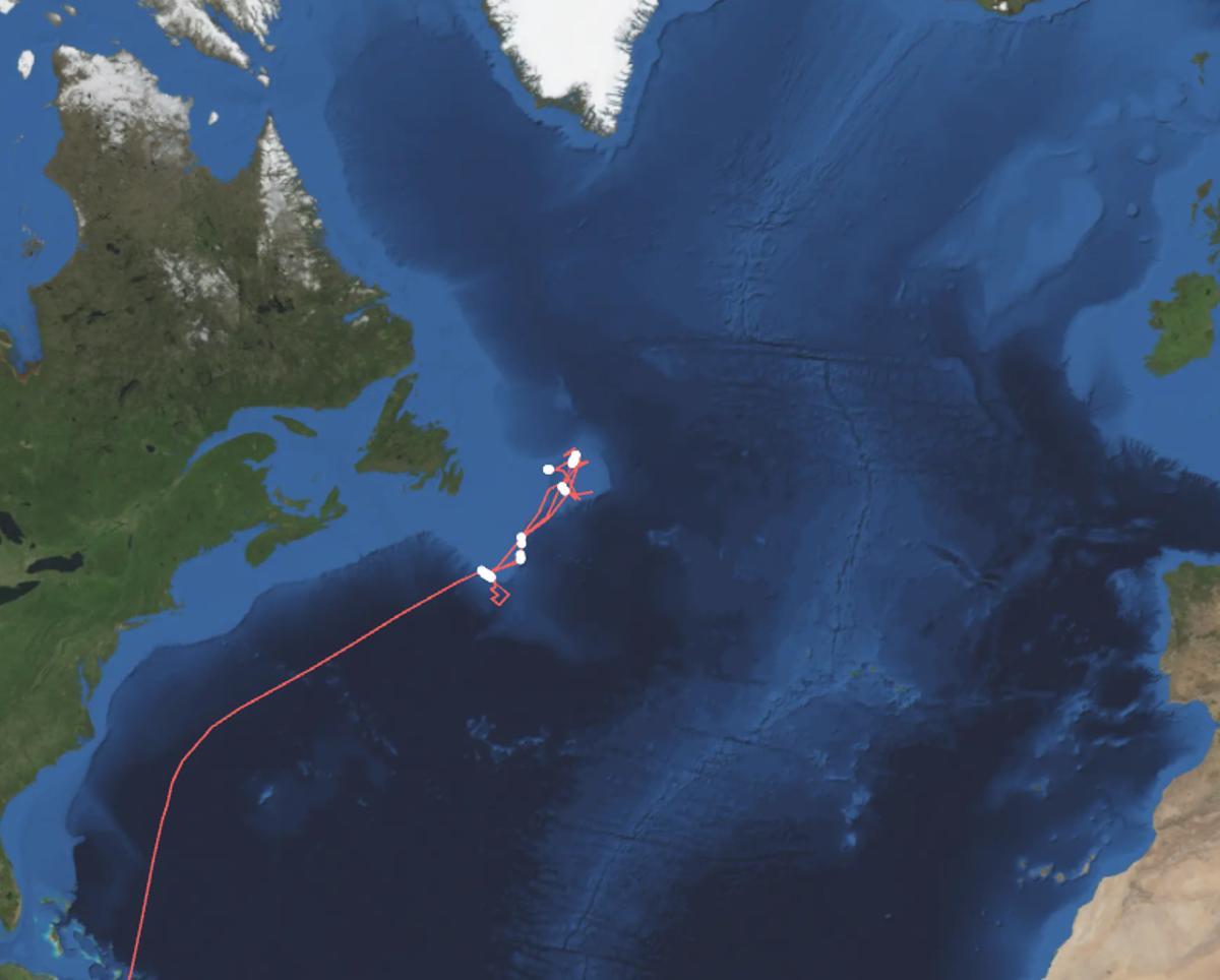 Derrota de la última marea del «Novaya Zemlya», lejos de Mar de Labrador e Irminger