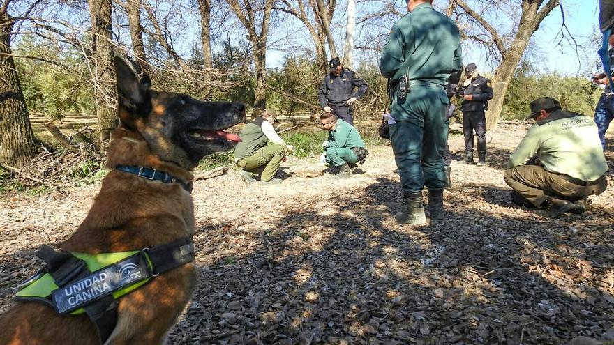 Unidad Canina de la Junta de Andalucía.