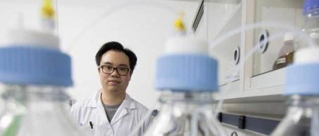 Jing Chiu Chong Cheung, en el laboratorio donde trabaja.