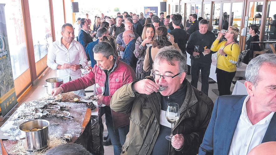 La alcachofa, la «joya de la huerta» de la Vega Baja, protagonista indiscutible