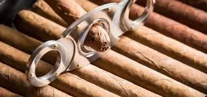 Informe 2025 sobre la relevancia económica y social del sector del tabaco en Canarias