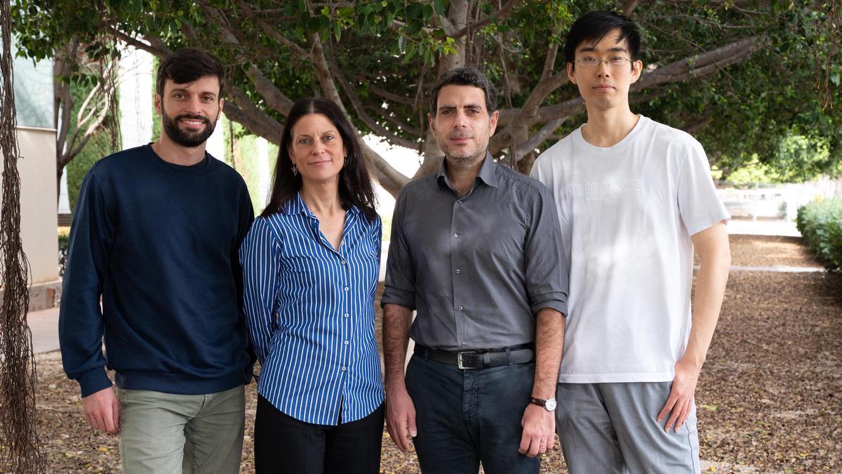 Los investigadores del IN CSIC-UMH Giovani Usseglio, Teresa Femenía, Andreas Kardamakis y Kuisong Song. Fuente: IN CSIC-UMH