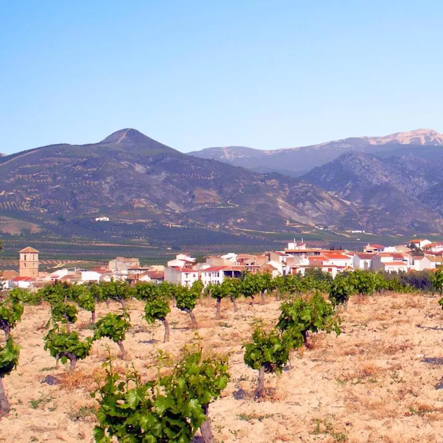 El pueblo más frío de Andalucía para pasar el verano, según la AEMET, tiene mínimas de 18 grados