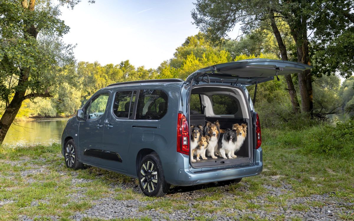 Opel Combo Electric: Ideal para viajar con tu mascota