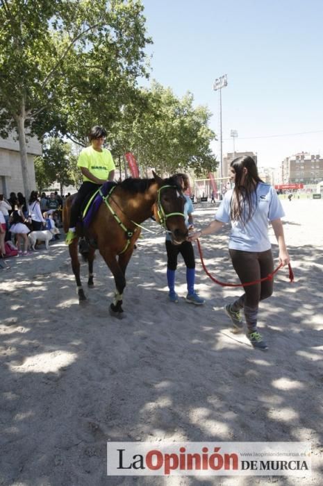 Fiesta del Deporte de Murcia (domingo)