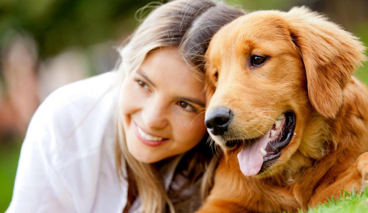 Las terapias con perros mejoran la autoestima de los pacientes.
