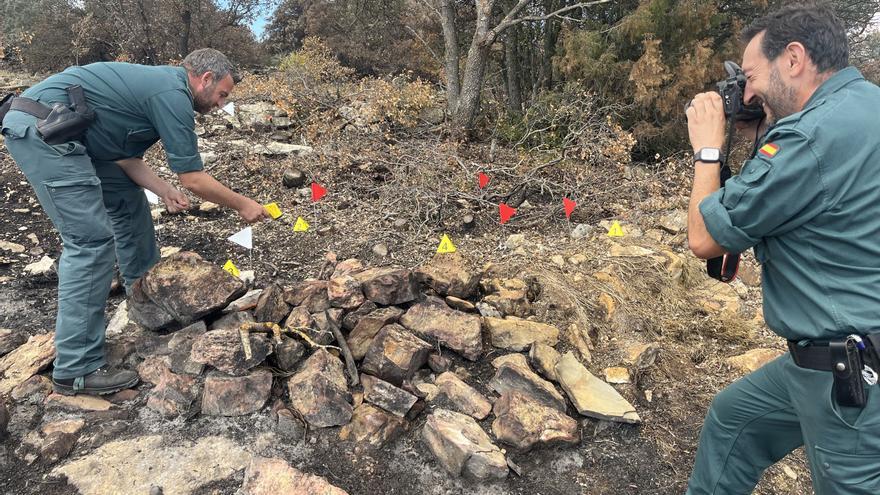 El &#039;CSI&#039; de los incendios es del Seprona y está en Segorbe