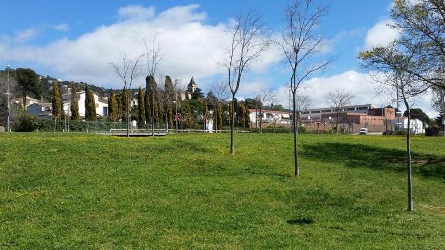 La nova biblioteca es construirà en el sector de la Teulera